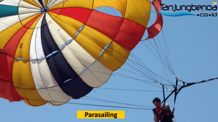 Parasailing single
