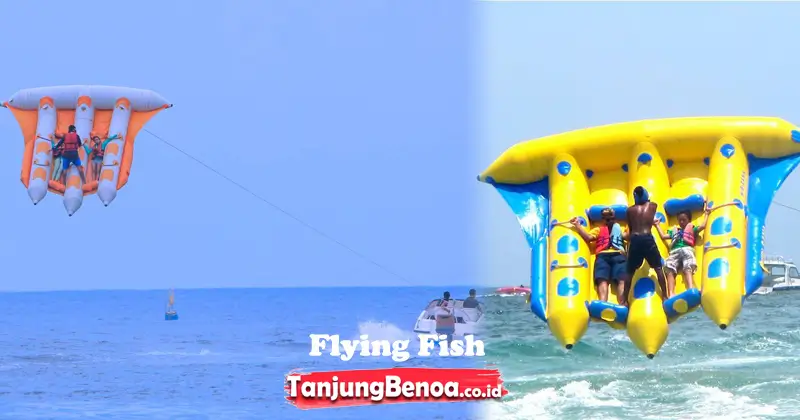 Flying fish Tanjung Benoa