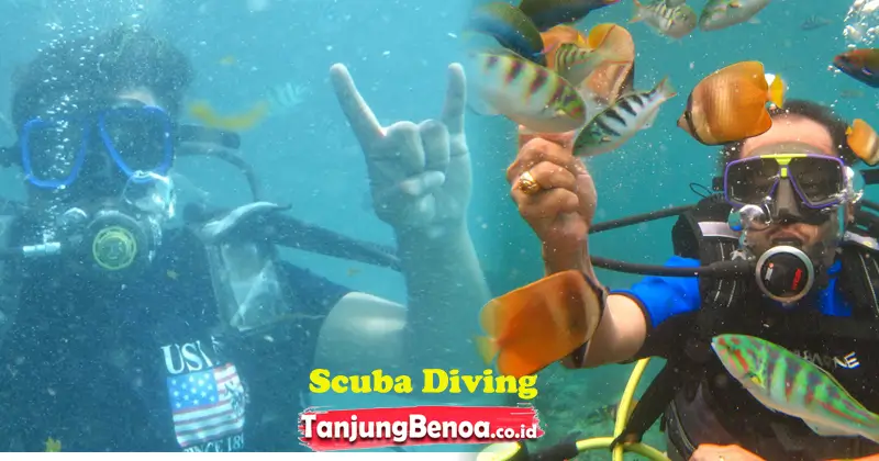 Scuba diving Tanjung Benoa